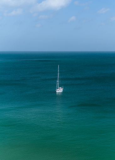 A sailing boat in the sea on a sunny day