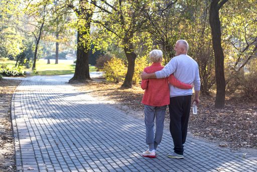 An elder couple walking in a park during the autumn - romantic concept