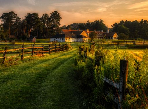 A mesmerizing view of the footpath with green grass leading to a building against the sunset sky