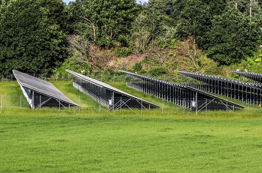 A field covered in greenery surrounded by solar panel rows under the sunlight - environmental concept