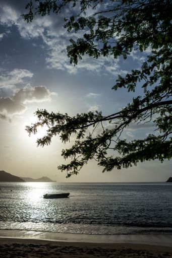 A beautiful view of an ocean with a boat and tree branches in the foreground