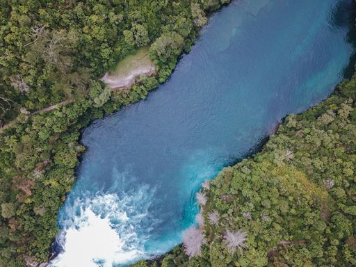 An aerial view of a beautiful coast in New Zealand