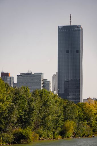 A vertical shot of trees and tall business building with a clear sky in the background in Vienna