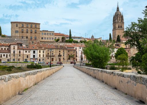 A beautiful view of the Salamanca city and the bell tower of the cathedral from the Roman bridge