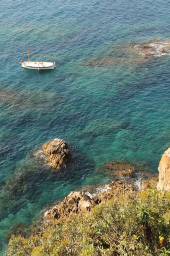 A vertical shot of a rocky seashore