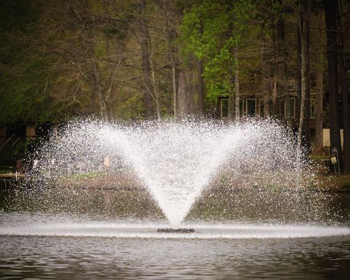 A closeup shot of a fountain in the lake near the forest