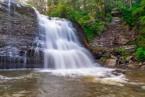 A scenic view of the Muddy Creek Falls surrounded by wild nature in Maryland