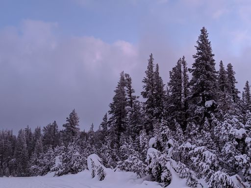 A scenic view of the winter forest with fir trees covered in snow on a cloudy day