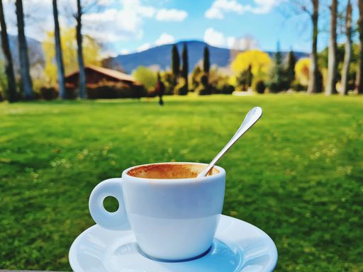 A selective focus shot of a cup of espresso coffee with a spoon and saucer with a grassland background