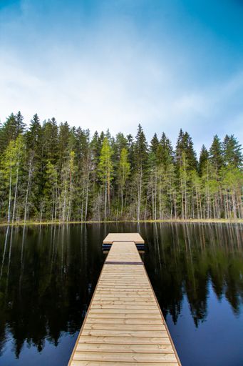 A beautiful landscape of a lake with calm waters that reflect the background of trees in daylight