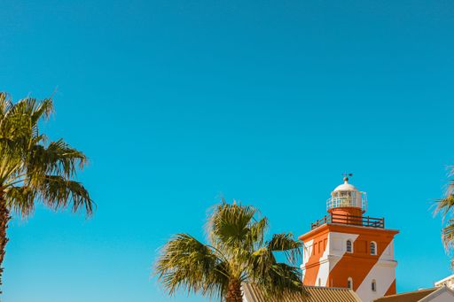 Striped lighthouse at Greenpoint, Cape Town, South Africa, surrounded by tropical palm trees