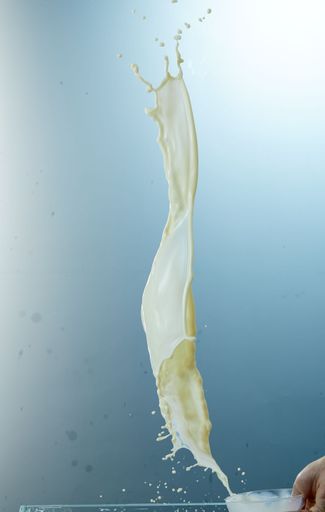 A vertical shot of a fresh white milk splash on blue background