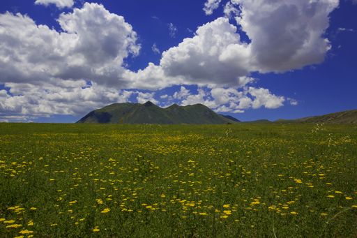 Mount Agri Ararat. Anatolia, climber.  Mount Ararat and its view - Ağrı / Turkey