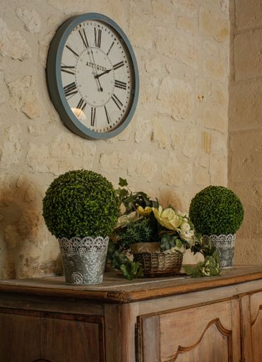 A vertical shot of houseplants on the furniture under the clock on the wall