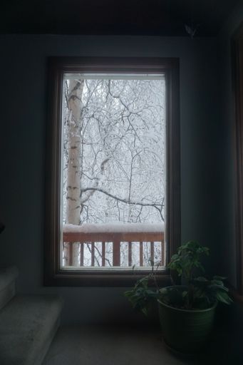 A vertical shot of a snowy view of the nature of Alaska from the window of a house