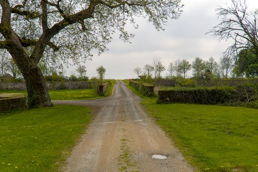 A beautiful view of a dirt path next to a green park and an old big tree on the side