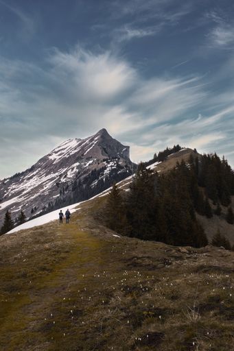 A vertical shot of two brave people walking on the slope of the mountains of Switzerland