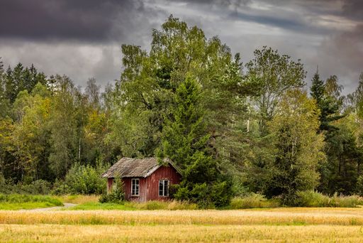 A scenic view of an old cabin in an open field against green trees on a gloomy day