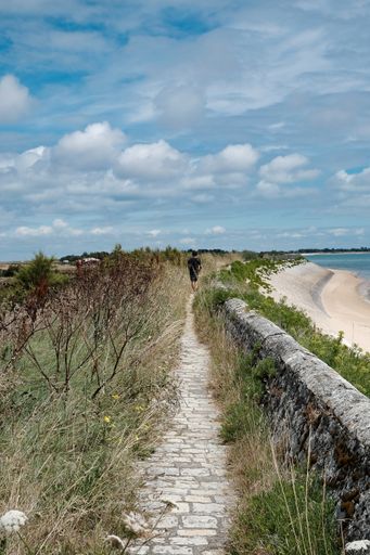 A vertical shot of the coastline on Ile de Re in France