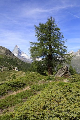 A breathtaking shot of a beautiful landscape near the Matterhorn mountain in Zermatt, Switzerland