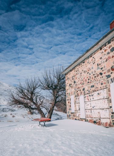 A vertical shot of bare trees growing by an old stone house in winter on a sunny day