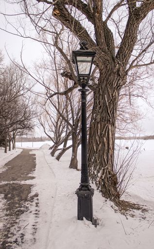 A vertical shot of a vintage street light with bare trees in the background in a park in winter
