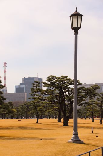 A vertical shot of the Imperial Palace gardens in Tokyo, Japan