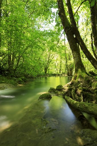 A sunny scenery of the Cascade de Tufs near Arbois, France
