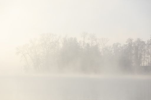 A beautiful shot of a lake during a foggy weather