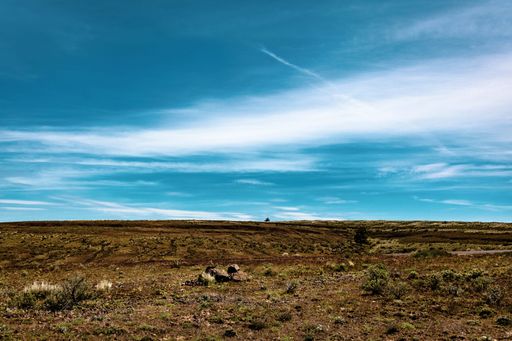 A scenic view of a field of dried grass and shrubs under a cloudy blue sky