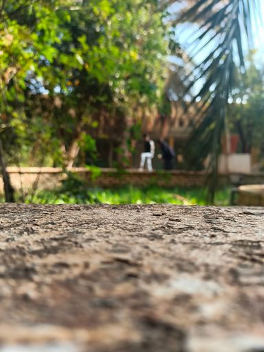 A vertical focused shot of dry soil against the background of a house and trees