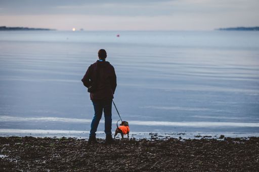 A rear view of a woman with her dog standing on the beach