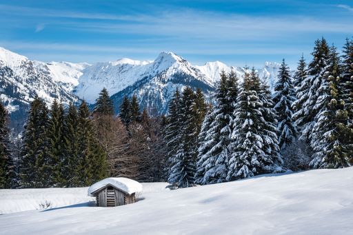 A small wooden hut in the middle of a mountainous forest in the winter