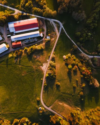 An aerial top view of a road in a green field against a forest and buildings at sunset