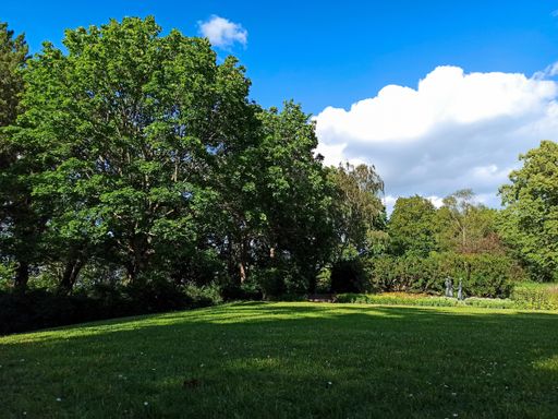 A beautiful shot of a park full of trees on a vibrant spring day