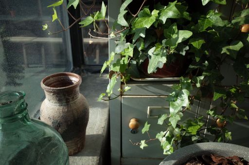 A high angle shot of old vases on a windowsill near an ivy plant