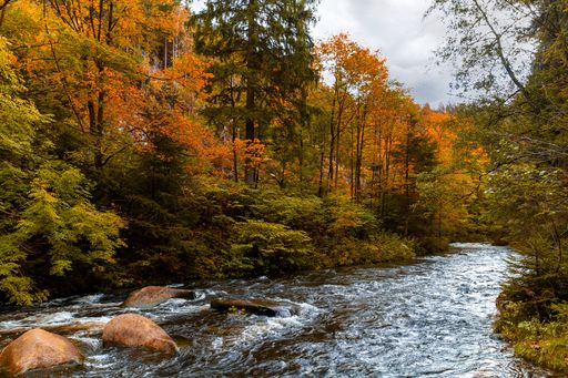 A beautiful view of a river surrounded by autumn trees under the cloudy sky