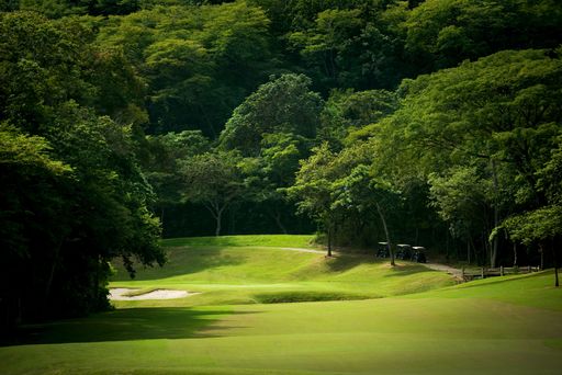 A forested golf fairway at a tropical resort