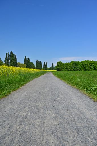A vertical shot of an asphalt road through a rural green field