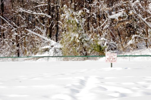 A horizontal shot of a "no trespassing" sign in the snow surrounded by trees covered in snow