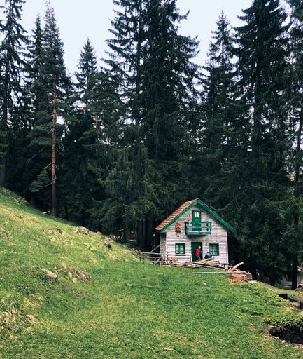 A vertical shot of a mountain house in a pine forest in Smola, Bulgaria
