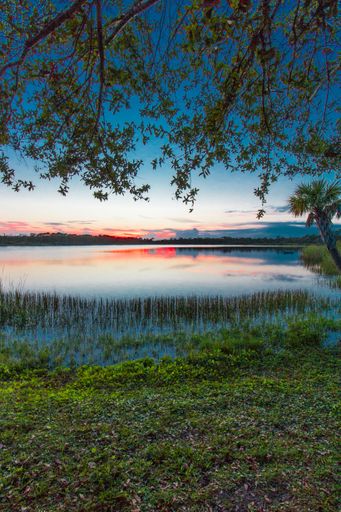 A vertical shot of the colorful sunset over Lake Zobel, in Florida