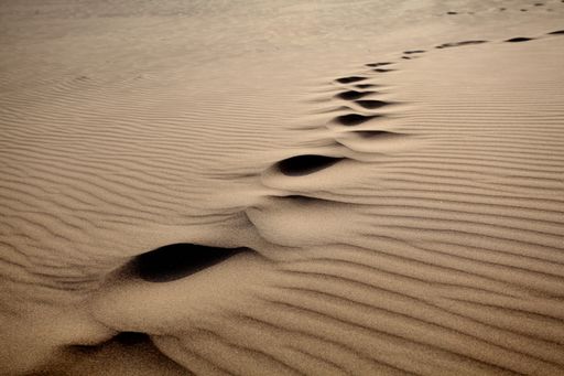 A closeup shot of singing sand in a desert on a sunny day