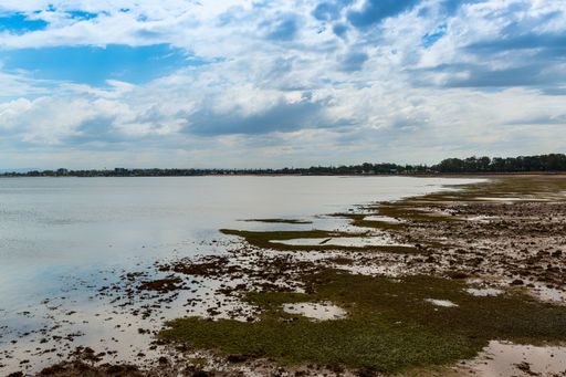 A horizontal shot of low tide in a river estuary surrounded by green trees under the cloudy sky