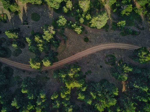 Aerial view of the road passing through the green forest, the concept of a healthy environment and ecology.