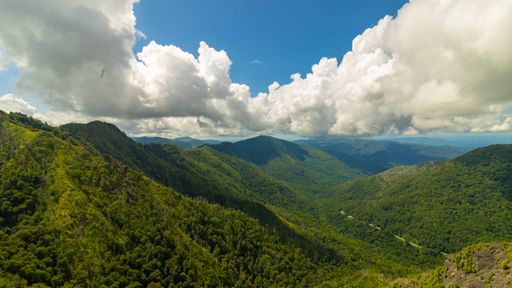 A beautiful view of the Chimney Tops hiking trail in Tennessee, United States