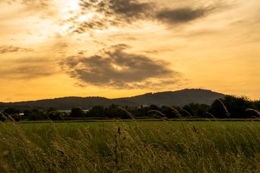 A beautiful view of a field under the cloudy sky during sunset