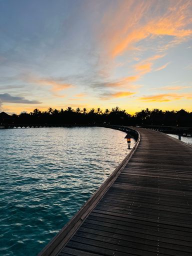 A vertical shot of a wooden pathway over the sea with trees in the background during sunset