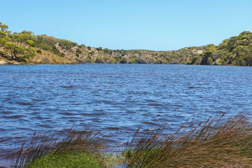 A beautiful shot of from coast of a reserve surrounded by plants.