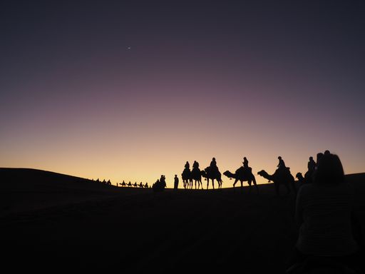 A silhouette shot of people riding camels in the Merzouga Desert, Morroco with a sunset sky